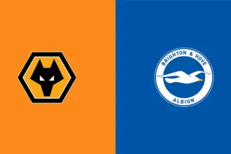 Wolves vs Brighton