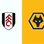 Fulham vs Wolves